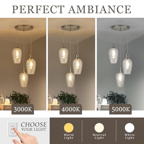 3 Light Cluster Pendant Lighting