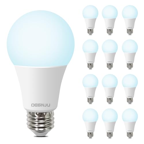 LED Light Bulbs (12 Count)