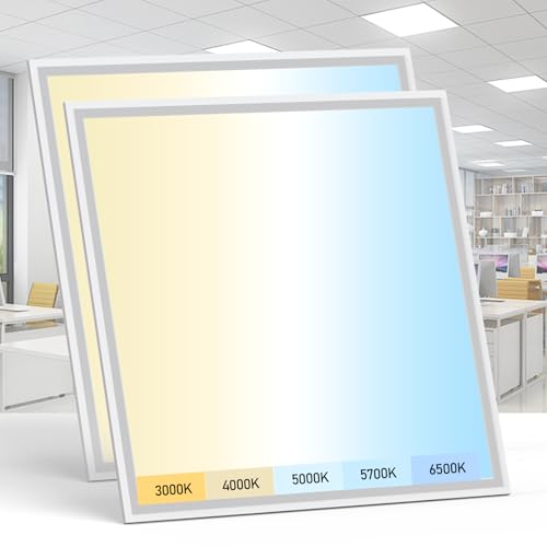 2 Pack 2x2 LED Flat Panel Light (2 Count)