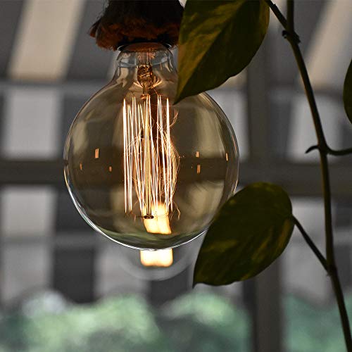 G25 Globe Edison Light Bulb (6 Count)