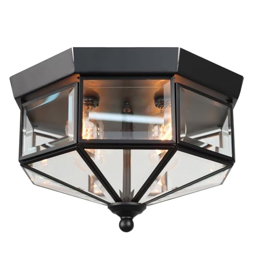 Flush Mount Outdoor Ceiling Light Fixture