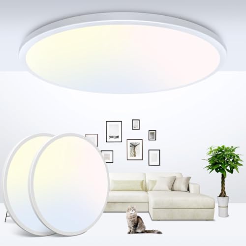 2Pack 12 Inch LED Flush Mount Ceiling Light (2 Count)