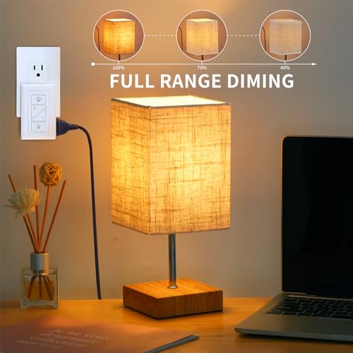 Smart Plug in Dimmer