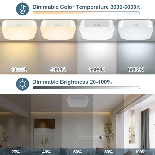 Rechargeable Motion Sensor Ceiling Light with Remote