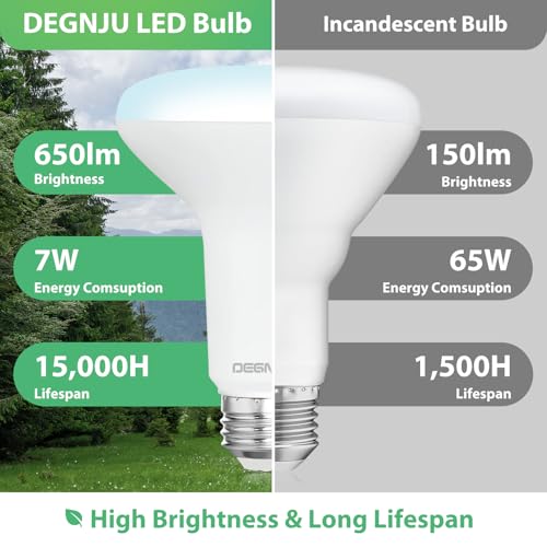 12 Pack BR30 LED Recessed Light Bulb (12 Count)