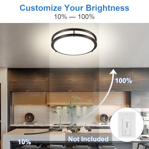 DLLT Flush Mount LED Ceiling Light