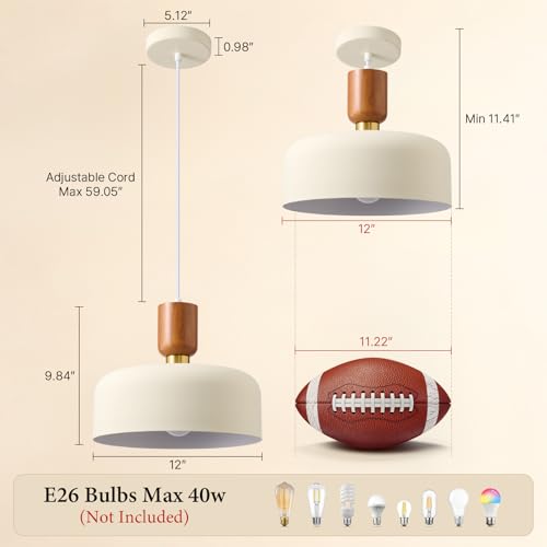 12" Mid Century Modern Pendant Lights