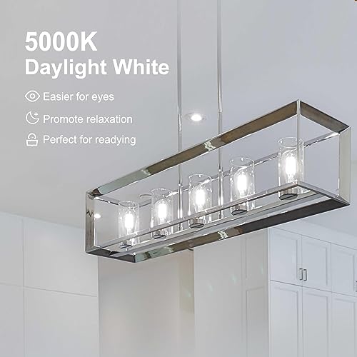 LED Edison Light Bulbs (6 Count)