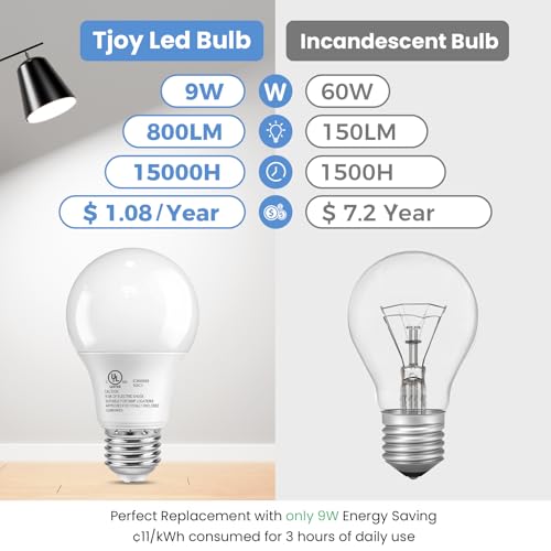 6 Pack A19 LED Light Bulbs (6 Count)