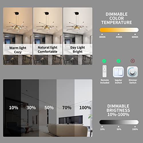 Modern Black chandelier
