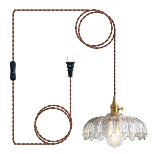 Plug in Pendant Light Hanging Lamp