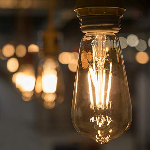 Hudson Vintage LED Edison 4W Bulbs (4 Count)