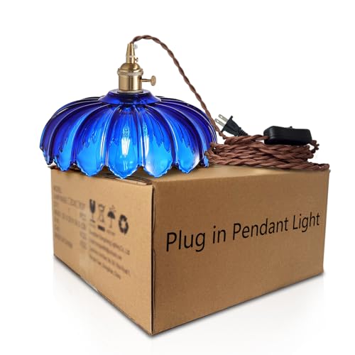 Plug in Pendant Light