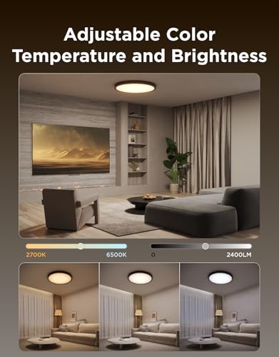 Smart Ceiling Light