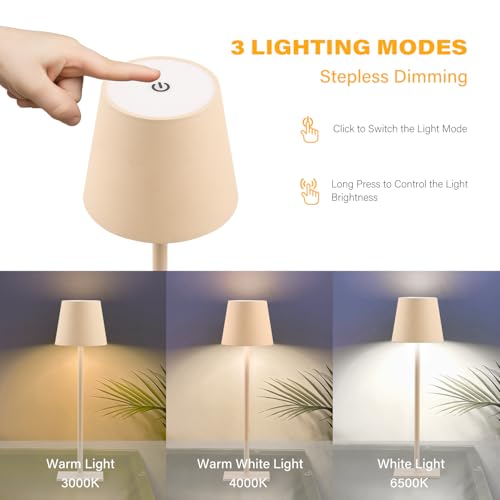 2 Pack Cordless Table Lamps (2 Count)