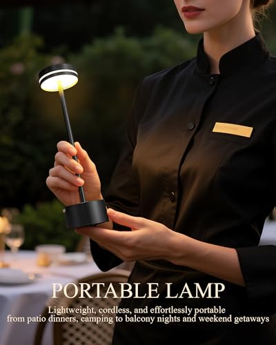 2 Pack LED Cordless Table Lamp Rechargeable (2 Count)