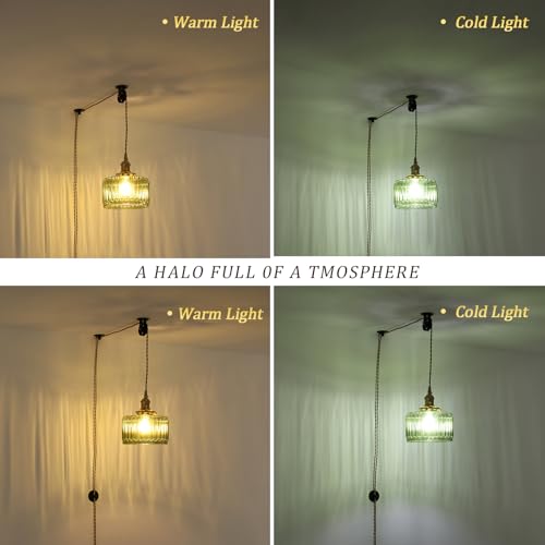 Plug in Pendant Light Hanging Light Fixture Corded On