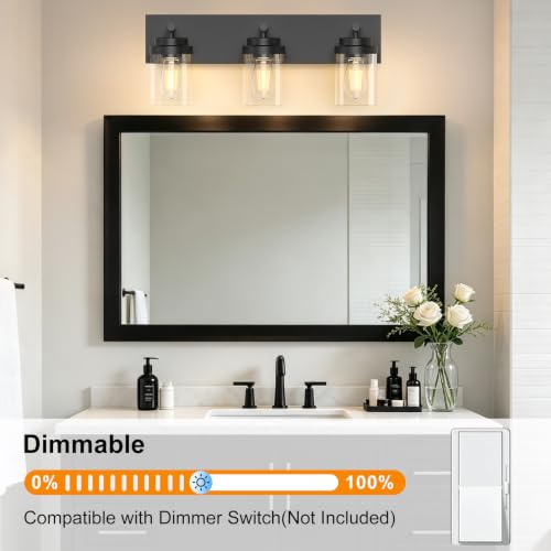 Bathroom Vanity Light Fixture