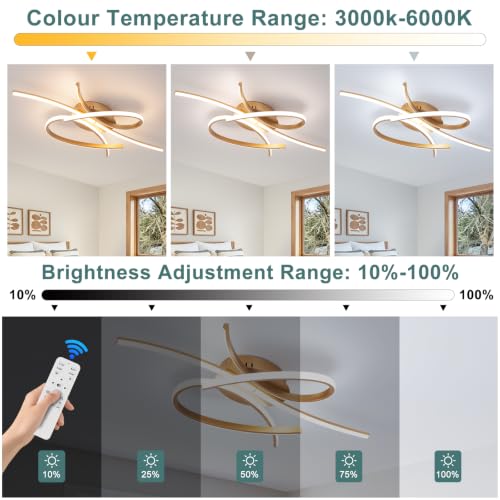 Modern LED Ceiling Light Fixture
