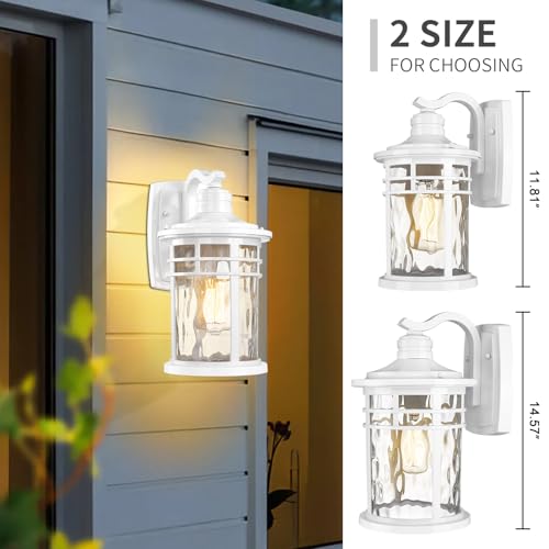 Outdoor Wall Light Fixture