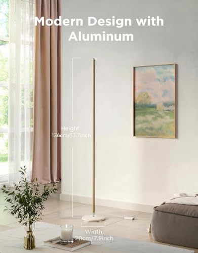 RGBIC Floor Lamp Basic