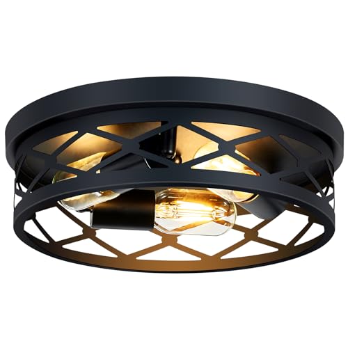 Flush Mount Ceiling Light Fixture
