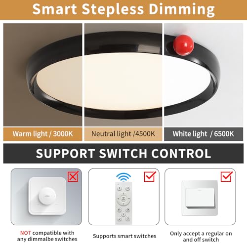 Black Round Flat Panel Light