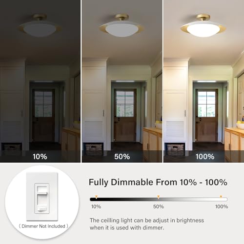 Dimmable Modern Mid