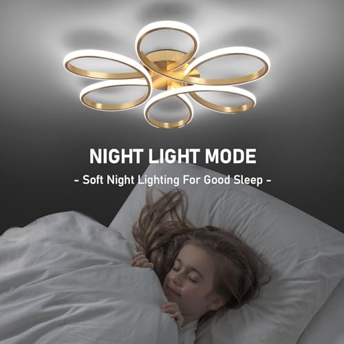 26inch Modern LED Ceiling Light