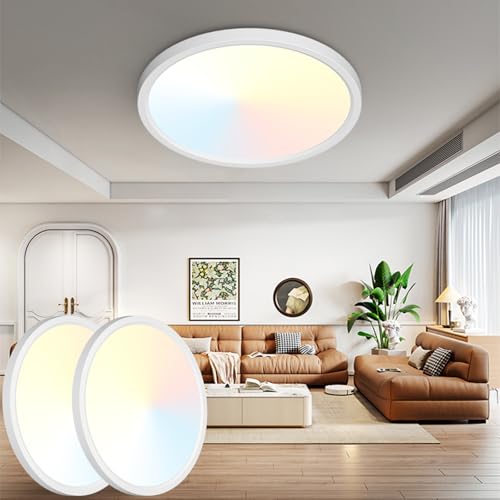 19Inch LED Ceiling Light Flush Mount (2 Count)