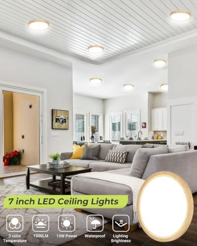 Flush Mount Ceiling Light Fixtures