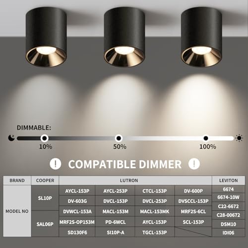 Modern LED Ceiling Light Fixture Flush Mount COB 20W 4000K Cylinder Ceiling Lights