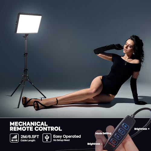 2 Pack Photography Lighting Kit (2 Count)