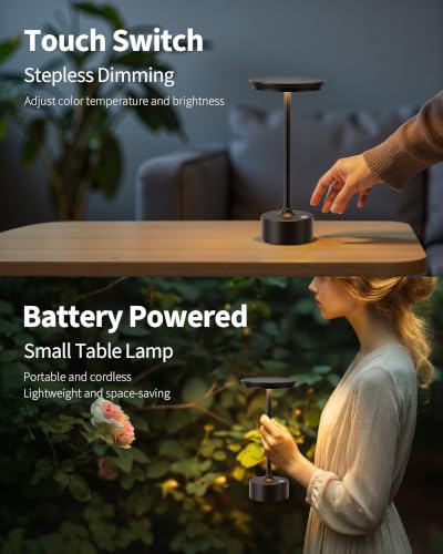 Rechargeable Table Lamps Set of 2 (2 Count)