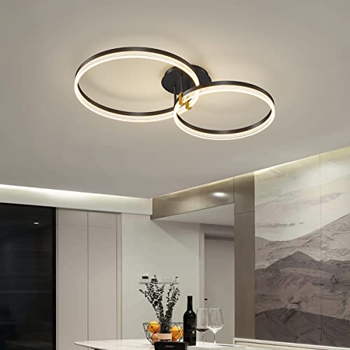 Chaners Ceiling Light Acrylic Ring Ceiling Light LED with Remote Control Dining Room Bedroom Lamp Living