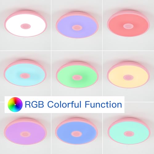 Pink Waterproof LED Flush Mount Ceiling Light Fixture