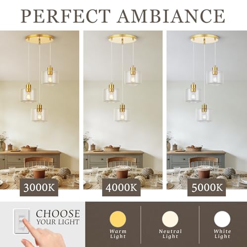 Brushed Gold Dining Room Chandelier Light Fixture