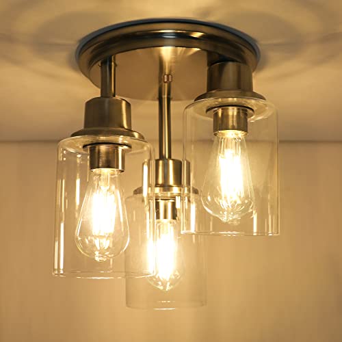 Semi Flush Mount Ceiling Light
