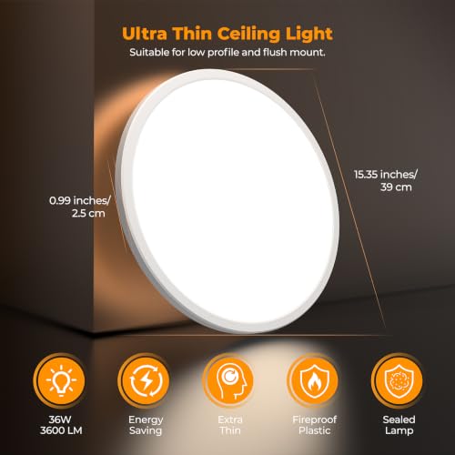 LED Flush Mount Ceiling Light Fixture with Remote Control