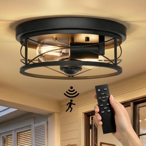 Dusk to Dawn Flush Mount Ceiling Light Fixtures