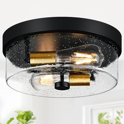 Flush Mount Ceiling Light Fixtures