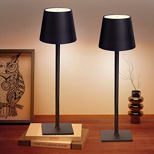 2 Pack Cordless Table Lamps (2 Count)