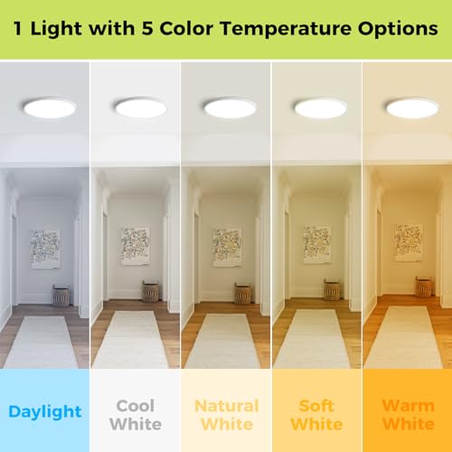 4Pack LED Flush Mount Ceiling Light Fixture (4 Count)