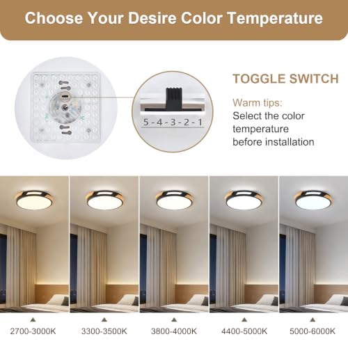 Modern LED Ceiling Light