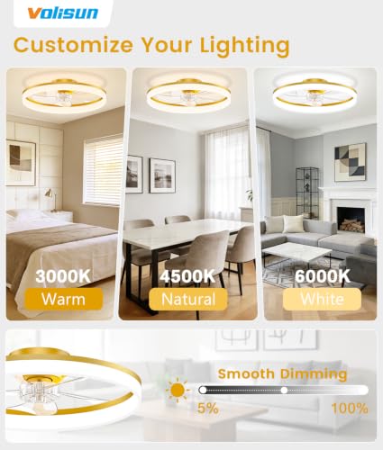 Low Profile Ceiling Fans with Lights and Remote