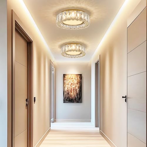 Dimmable Crystal Flush Mount Ceiling Light