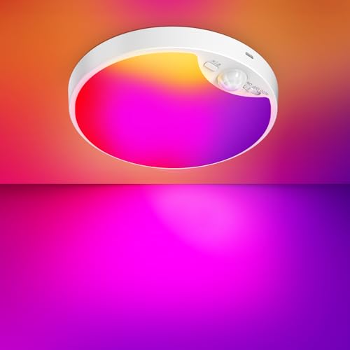 Rechargeable Motion Sensor Ceiling Light