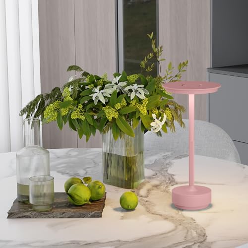 2 Pack Rechargeable Table Lamps Cordless (2 Count)