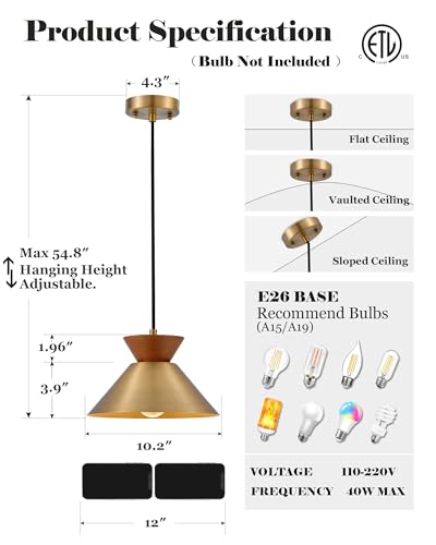 Vintage Pendant Light for Kitchen Island