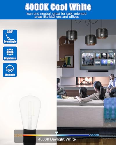 120 Pack Vintage LED Edison Bulbs (120 Count)